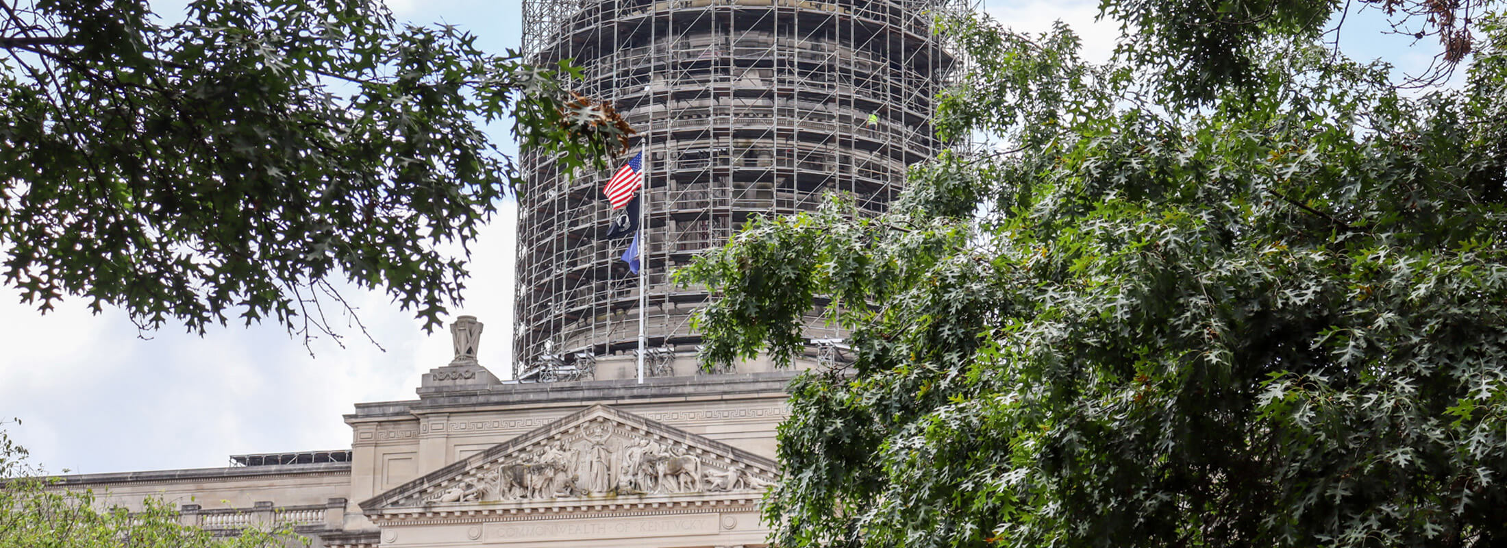 Trees at Kentucky's Capitol with the Capitol building and scaffolding in the background.